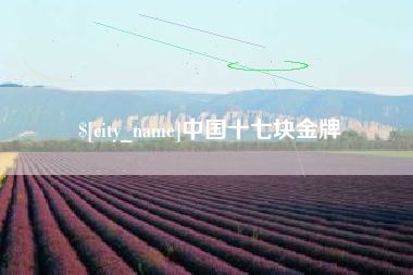 濮阳中国十七块金牌
