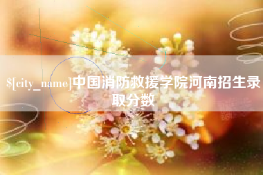 濮阳中国消防救援学院河南招生录取分数