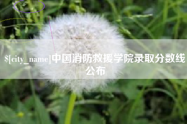 濮阳中国消防救援学院录取分数线公布