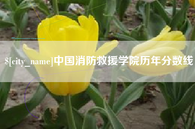 濮阳中国消防救援学院历年分数线