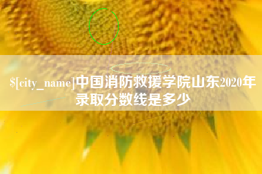 濮阳中国消防救援学院山东2020年录取分数线是多少