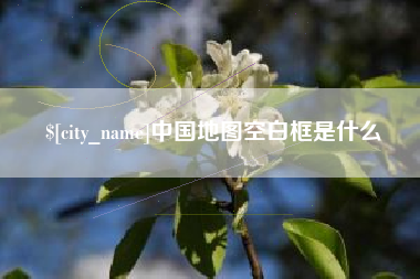 濮阳中国地图空白框是什么