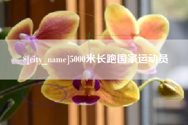 濮阳5000米长跑国家运动员