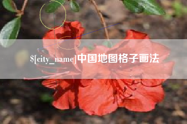 濮阳中国地图格子画法