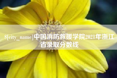 濮阳中国消防救援学院2021年浙江省录取分数线