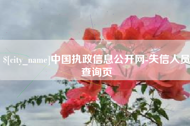 濮阳中国执政信息公开网-失信人员查询页