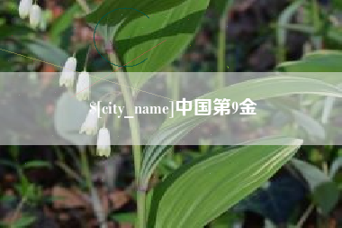 濮阳中国第9金