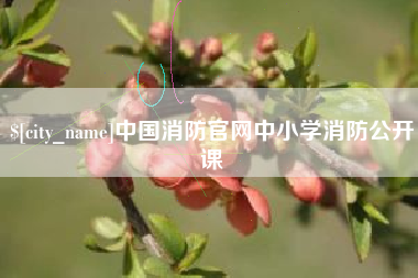 濮阳中国消防官网中小学消防公开课