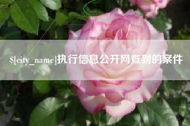 濮阳执行信息公开网查到的案件