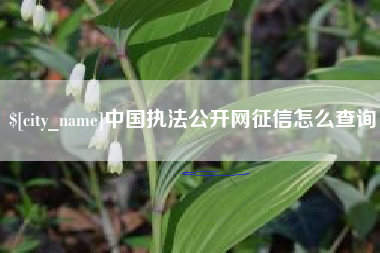 濮阳中国执法公开网征信怎么查询