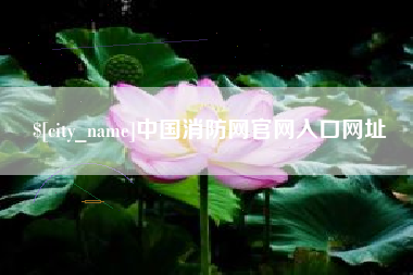 濮阳中国消防网官网入口网址