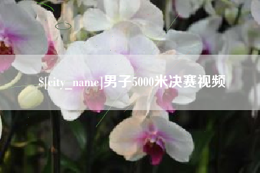 濮阳男子5000米决赛视频