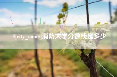 濮阳消防大学分数线是多少