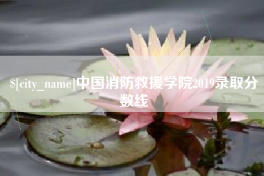 濮阳中国消防救援学院2019录取分数线