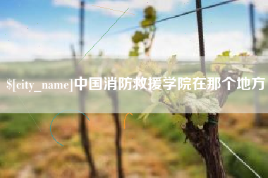 濮阳中国消防救援学院在那个地方