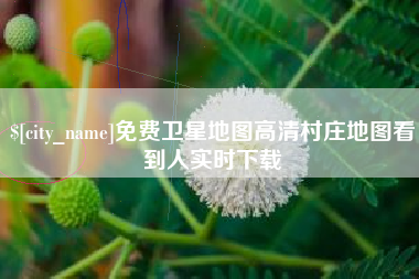 濮阳免费卫星地图高清村庄地图看到人实时下载