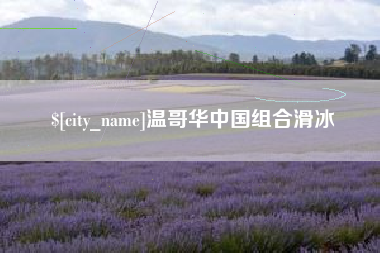 濮阳温哥华中国组合滑冰