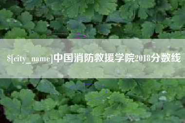 濮阳中国消防救援学院2018分数线
