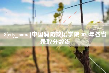 濮阳中国消防救援学院2020年各省录取分数线