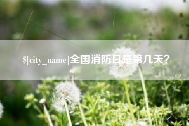 濮阳全国消防日是第几天？