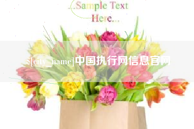 濮阳中国执行网信息官网