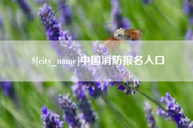 濮阳中国消防报名入口