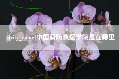 濮阳中国消防救援学院是在哪里