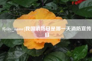 濮阳我国消防日是哪一天消防宣传日