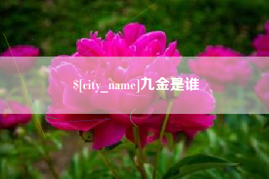 濮阳九金是谁