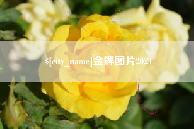 濮阳金牌图片2021