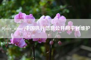 濮阳中国执行信息公开网平台维护