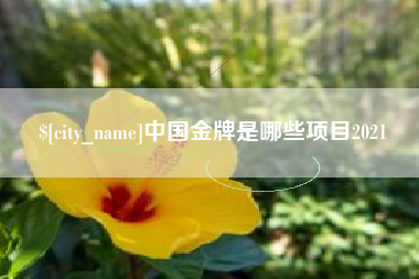 濮阳中国金牌是哪些项目2021