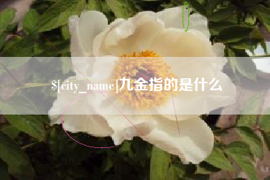 濮阳九金指的是什么