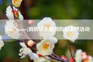 濮阳消防日全国消防日主题活动