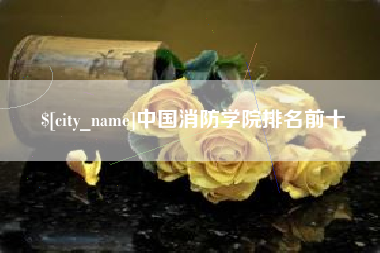 濮阳中国消防学院排名前十