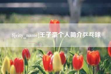 濮阳王子豪个人简介乒乓球