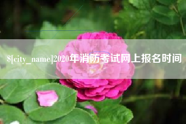 濮阳2020年消防考试网上报名时间