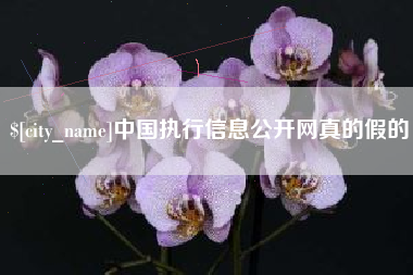 濮阳中国执行信息公开网真的假的
