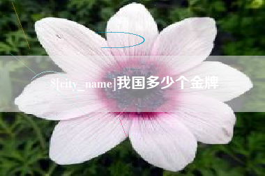 濮阳我国多少个金牌
