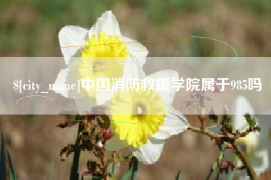 濮阳中国消防救援学院属于985吗