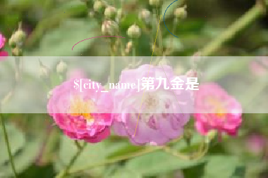 濮阳第九金是