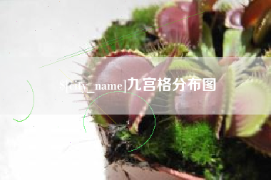 濮阳九宫格分布图