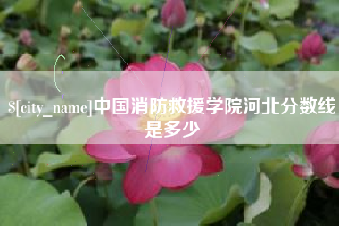 濮阳中国消防救援学院河北分数线是多少