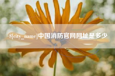 濮阳中国消防官网网址是多少
