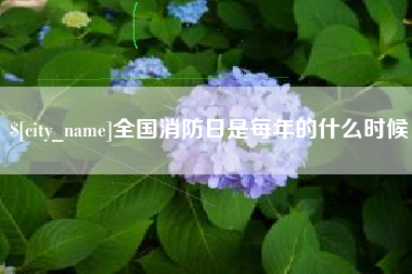 濮阳全国消防日是每年的什么时候