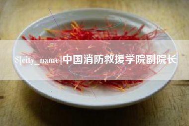 濮阳中国消防救援学院副院长