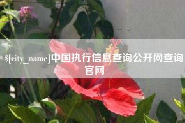 濮阳中国执行信息查询公开网查询官网