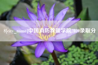 濮阳中国消防救援学院2020录取分