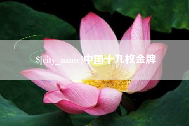 濮阳中国十九枚金牌
