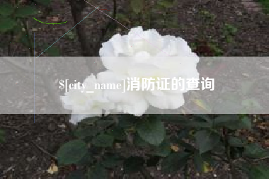 濮阳消防证的查询